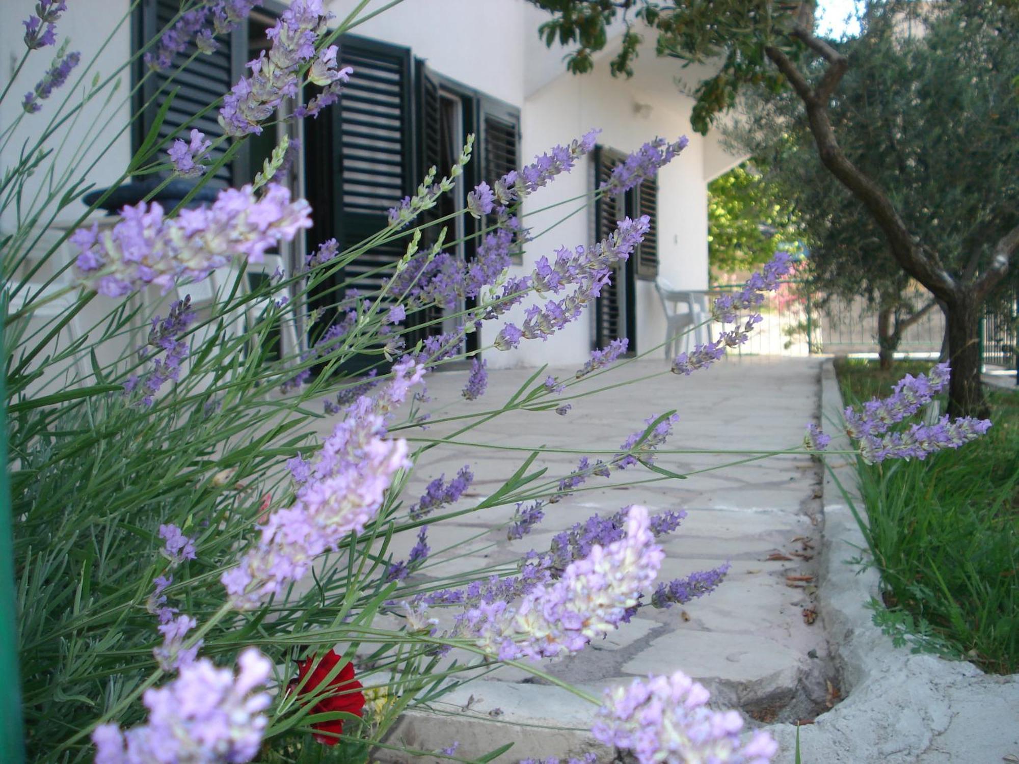 Apartments Smiljana Omis Exterior photo